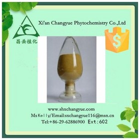 Gold supplier ilex kudincha extract