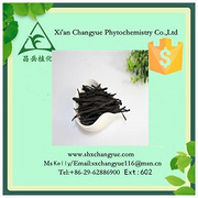 Hot Selling Chinese Holly Leaf Extract