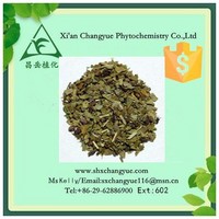 Hot selling yerba mate herb extract