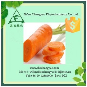 Gold supplier carrot powder