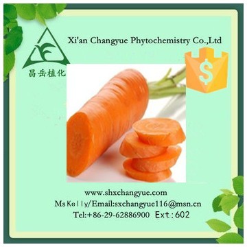 Gold supplier carrot powder