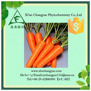 Top quality carrot powder