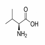 L-Valine