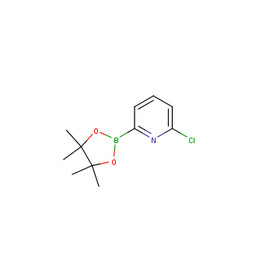 2-chloro-6-(tetramethyl-1,3,2-dioxaborolan-2-yl)pyridine