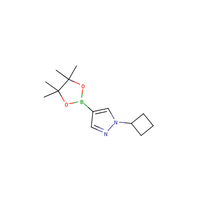 1-cyclobutyl-4-(tetramethyl-1,3,2-dioxaborolan-2-yl)-1H-pyrazole