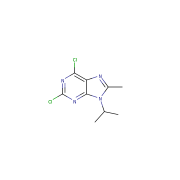 2,6-dichloro-8-methyl-9-(propan-2-yl)-9H-purine