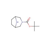tert-butyl 3,8-diazabicyclo[3.2.1]octane-3-carboxylate