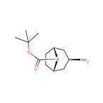 exo-3-amino-8-boc-8-azabicyclo[3.2.1]octane