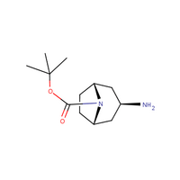 exo-3-amino-8-boc-8-azabicyclo[3.2.1]octane