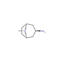 endo-8-methyl-3-amino-azabicyclo[3.2.1]octane