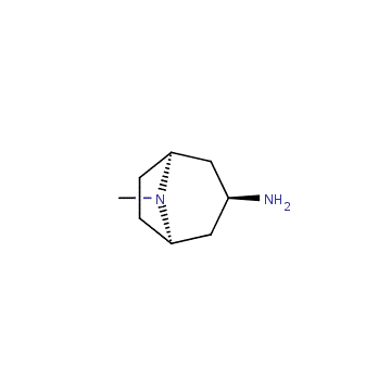 endo-8-methyl-3-amino-azabicyclo[3.2.1]octane