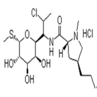 Clindamycin Hcl