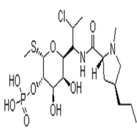 Clindamycin phosphate