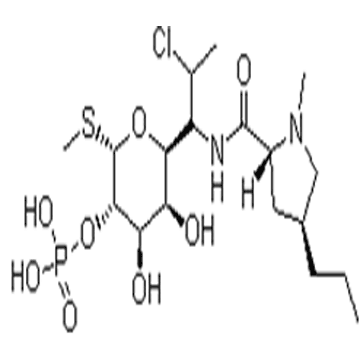 Clindamycin phosphate