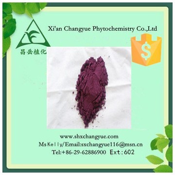 Pure natural aronia extract powder