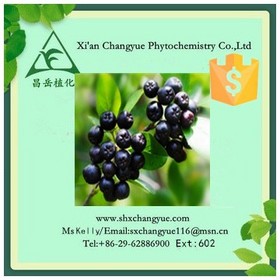 Top quality aronia extract