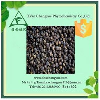 Hot selling aronia extract 