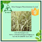 Pure natural oat grass extract powder