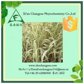 Pure natural oat grass extract powder