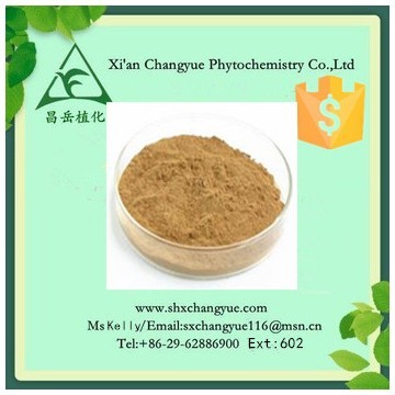 Gold supplier oat grass extract powder