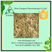 Top quality oat grass extract
