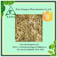 Top quality oat grass extract