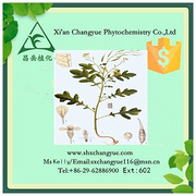 Hot selling white mustard seed extract