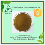 Hot selling wormwood extract