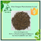 Pure natural scutellaria barbata extract