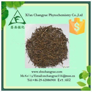 Pure natural scutellaria barbata extract