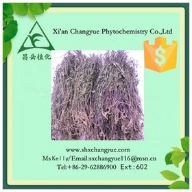 Hot selling scutellaria barbata extract