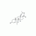 Nomegestrol Acetate 