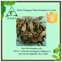 Hot selling lotus leaf extract powder 