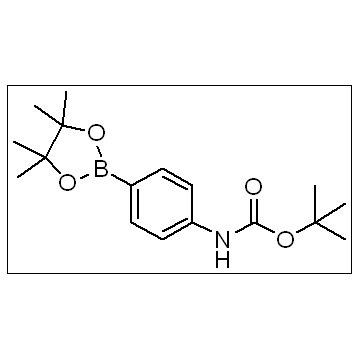 4-(N-boc-amino)phenylboronic acid pinacol ester