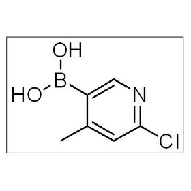 2-Chloro-4-methylpyridine-5-boronic acid