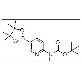 2-(tert-butoxycarbonylamino)pyridine-5-boronic acid pinacol ester