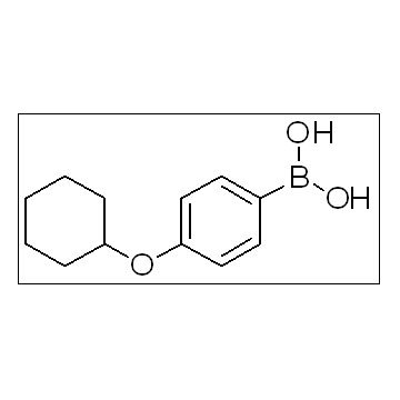 [4-(Cyclohexyloxy)phenyl]boronic acid