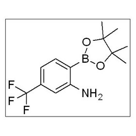 2-(4,4,5,5-tetramethyl-1,3,2-dioxaborolan-2-yl)-5-(trifluoromethyl)aniline