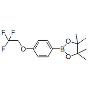 4-(2,2,2-trifluoroethoxy)phenylboronic acid