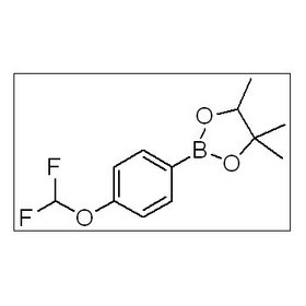 4-Difluoromethoxyphenylboronic acid pinacol ester