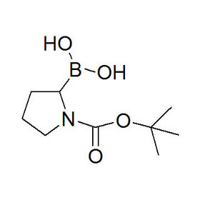 ［1-(Tert-Butoxy carbonyl)pyrrolidin-2-yl］boronic acid