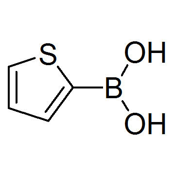 Thiophen-2-yl-2-boronic acid