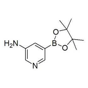 3-Aminopyridine-5-boronic acid pinacol ester