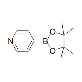 （4-Pyridyl）boronic acid pinacol ester