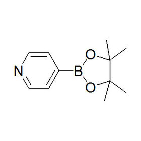 （4-Pyridyl）boronic acid pinacol ester