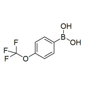 4-Trifluoromethoxyphenylboronic acid