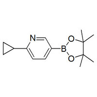 6-Cyclopropylpyridine-3-boronic acid pinacol ester