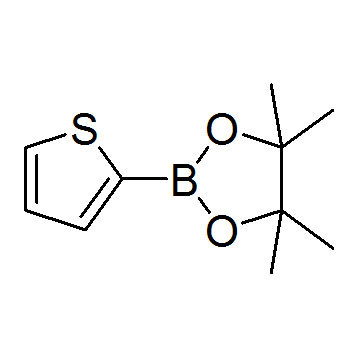 2-Thiopheneboronicacidpinacol ester