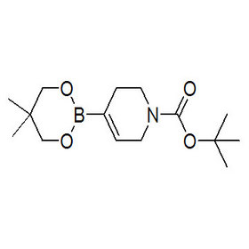 3,6-Dihydro-2H-pyridine-1-N-Boc-4-boronic acid neopentylglycol ester