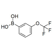 3-(Trifluoromethoxy)phenylboronic acid